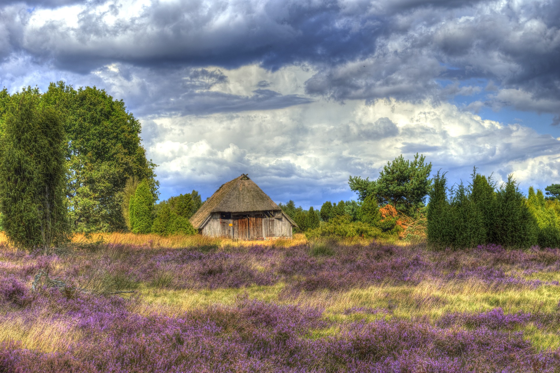 luneburg-heath-431792_1920